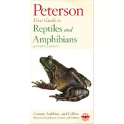 Reptiles & Amphibians: First Guide
